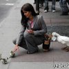 tierische-diebe